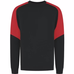 Sweatshirt / Pullover